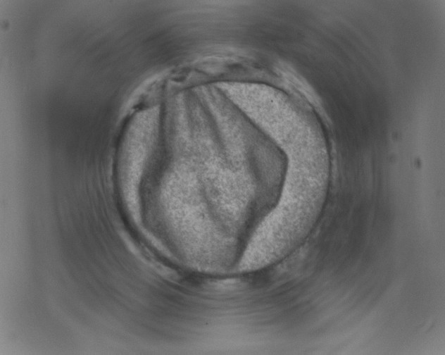 X0000078300058200612011845