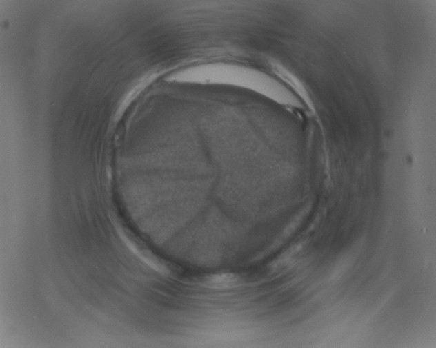 X0000078300059200612011845