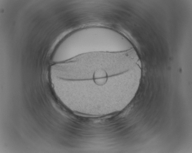 X0000078300060200612011845