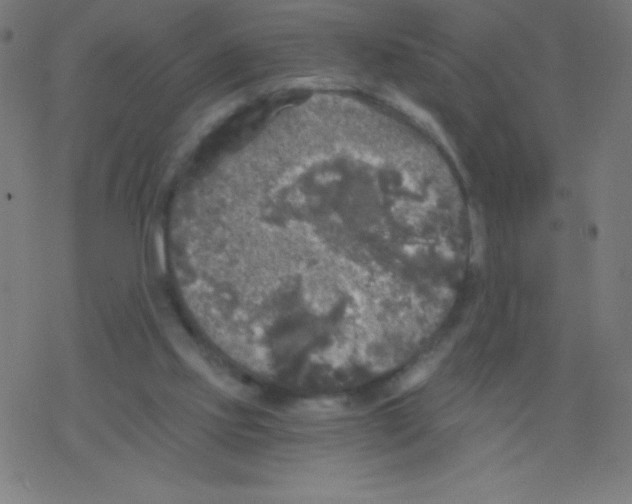 X0000078300061200612011845