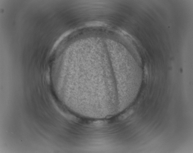 X0000078300064200612011845