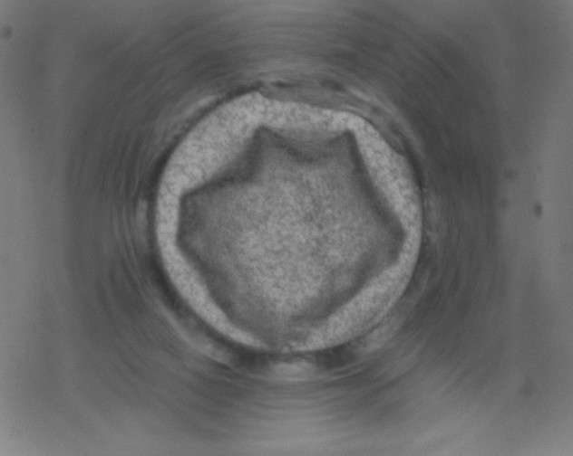 X0000078300066200612011845