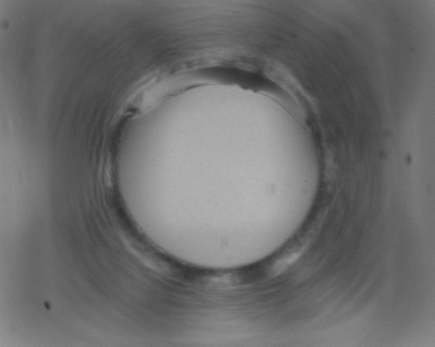 X0000078300068200612011845