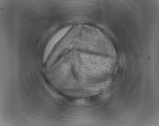 X0000078300070200612011845