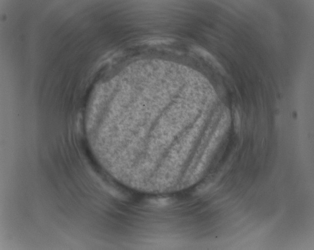 X0000078300071200612011845