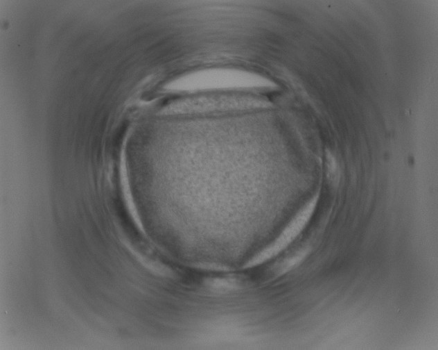 X0000078300072200612011845