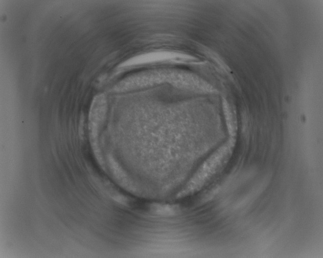 X0000078300073200612011845