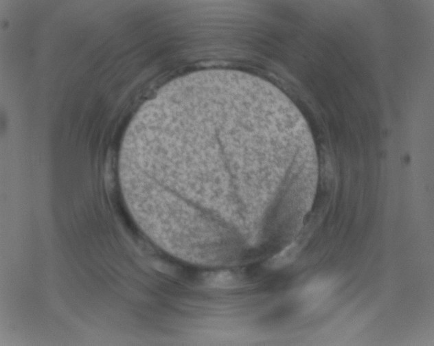 X0000078300074200612011845