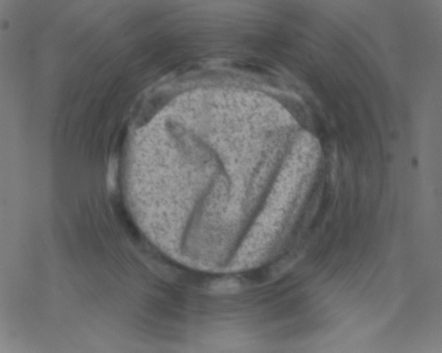 X0000078300075200612011845