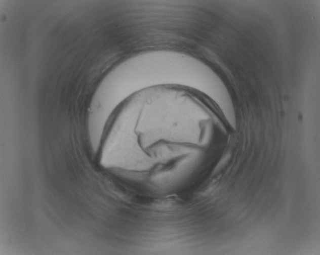 X0000078300076200612011845