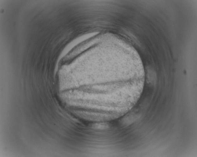 X0000078300077200612011845