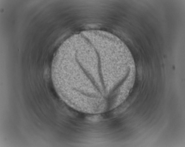 X0000078300079200612011845