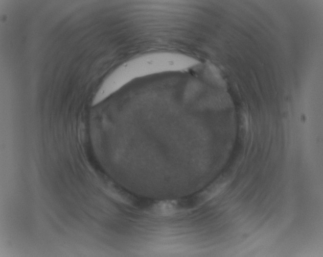 X0000078300080200612011845