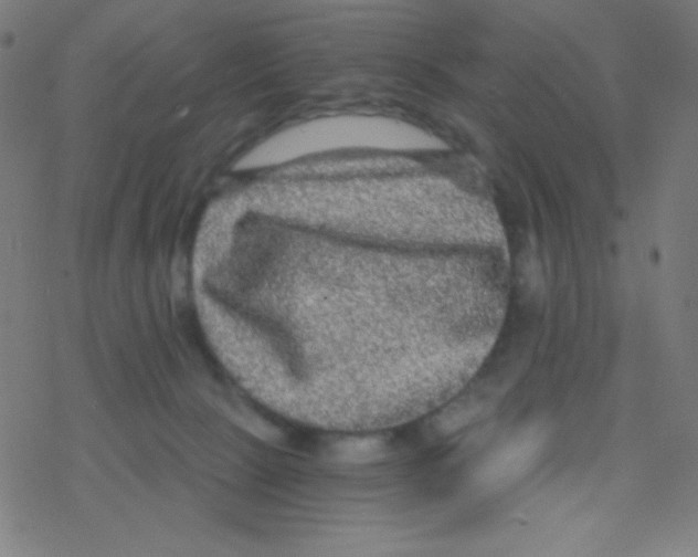 X0000078300081200612011845