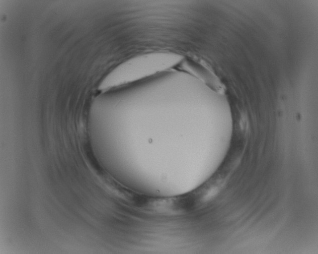 X0000078300084200612011845