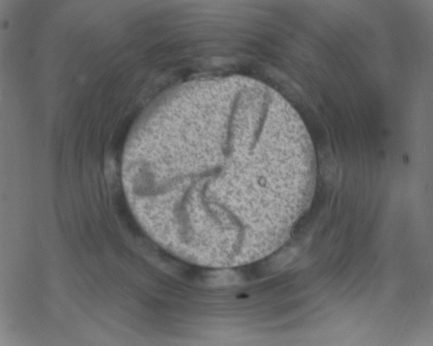 X0000078300087200612011845