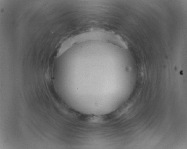 X0000078300088200612011845