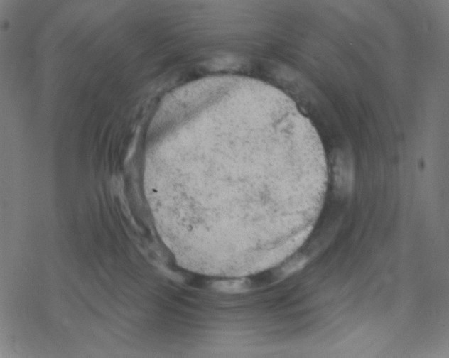 X0000078300089200612011845