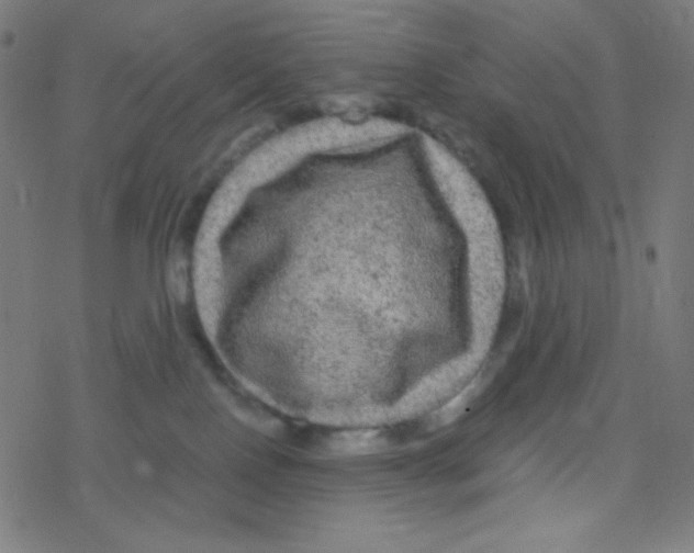 X0000078300090200612011845