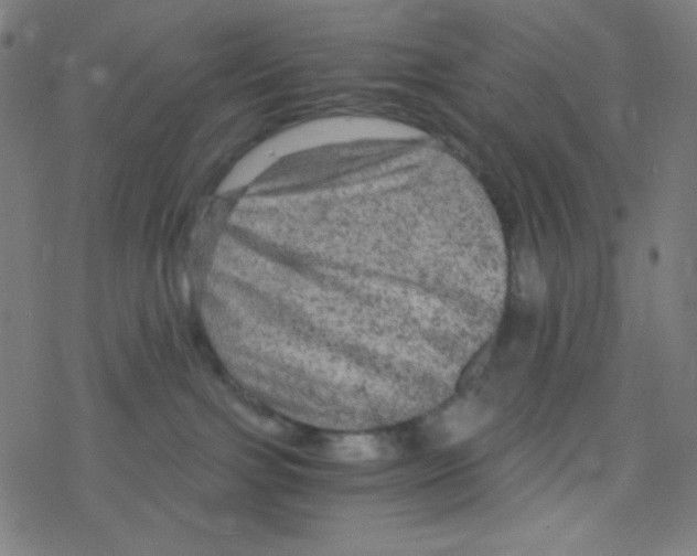 X0000078300091200612011845