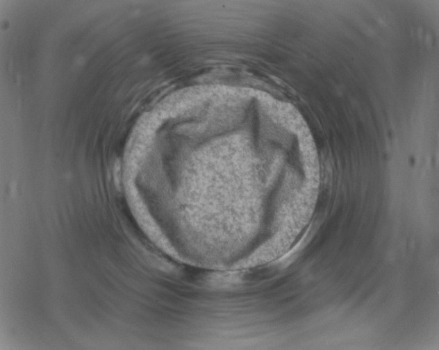 X0000078300094200612011845