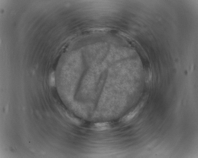 X0000078300095200612011845