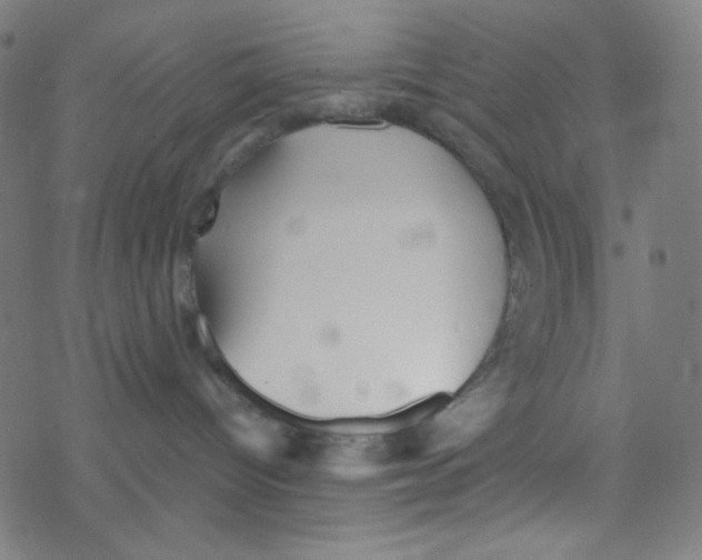 X0000078300096200612011845