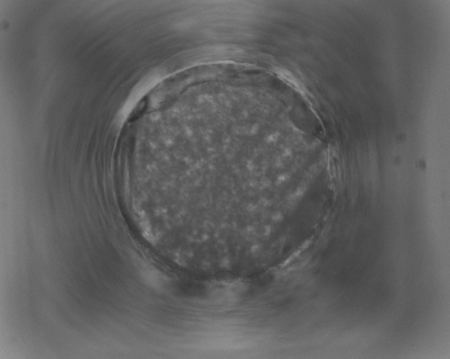 X0000078300099200612011844