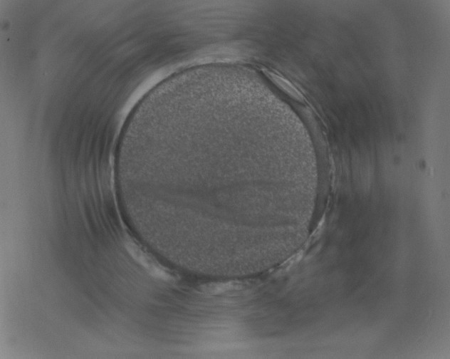 X0000078300100200612011844