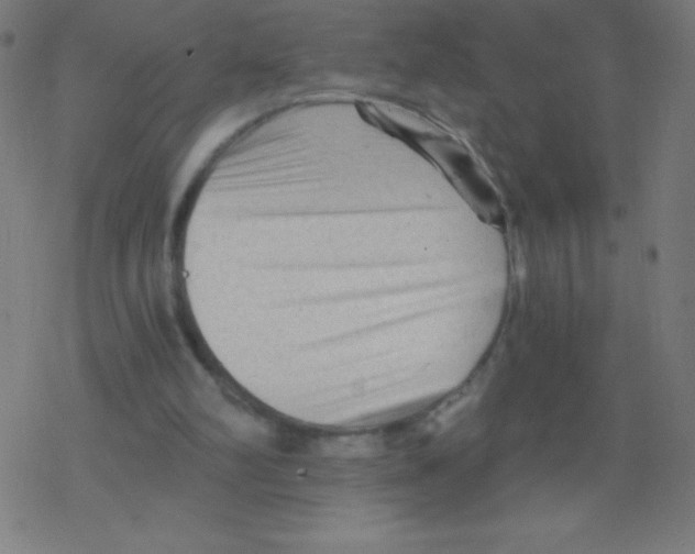 X0000078300102200612011844