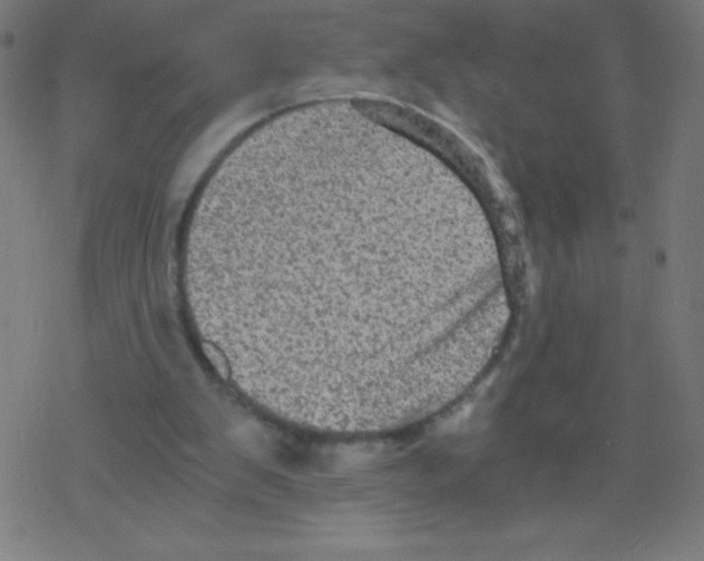 X0000078300103200612011844