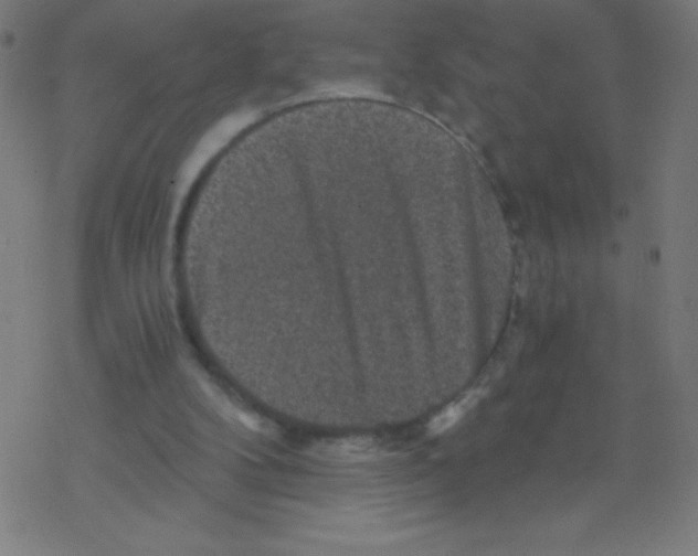 X0000078300104200612011844