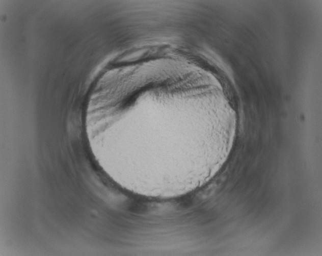 X0000078300107200612011844