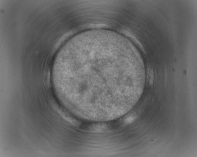 X0000078300110200612011844