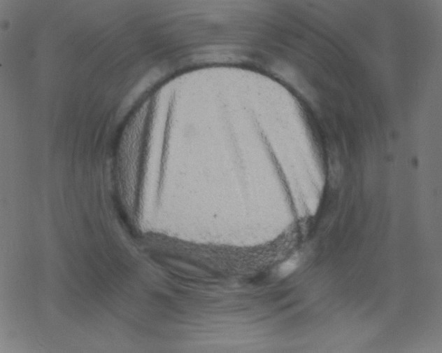 X0000078300111200612011844