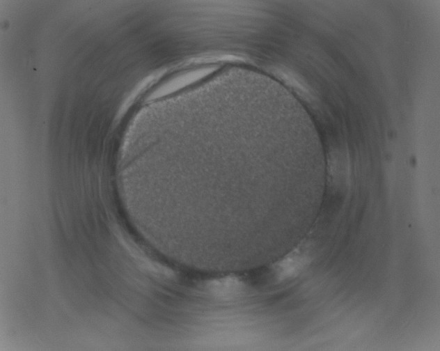 X0000078300112200612011844