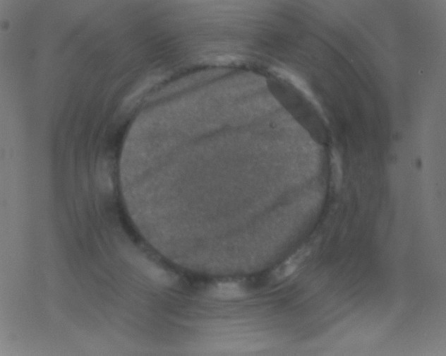 X0000078300114200612011844