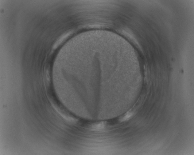 X0000078300116200612011844