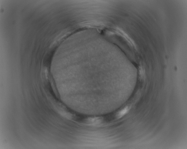 X0000078300117200612011844