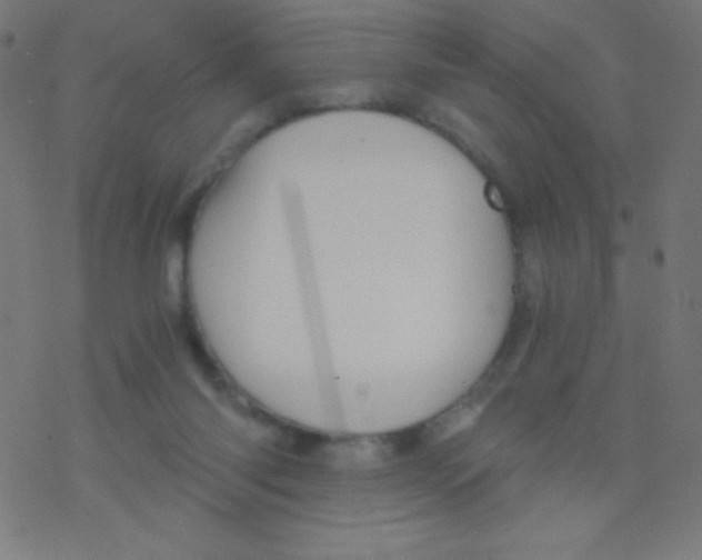 X0000078300118200612011844