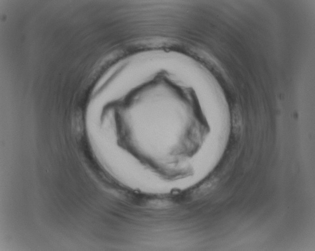 X0000078300119200612011844