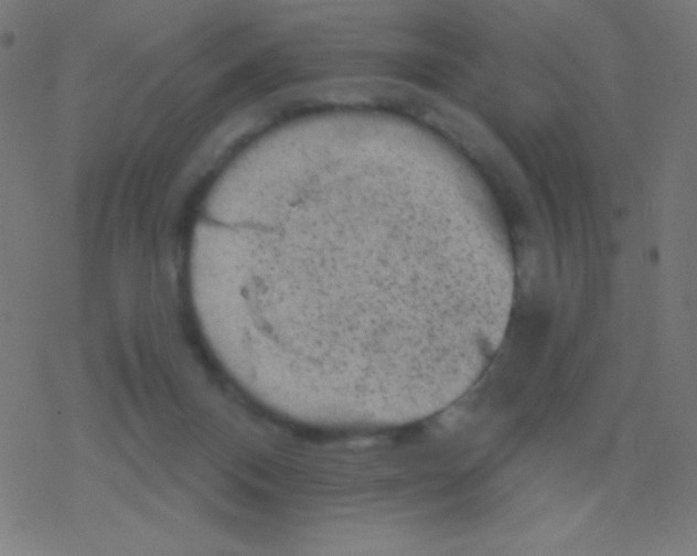 X0000078300120200612011844