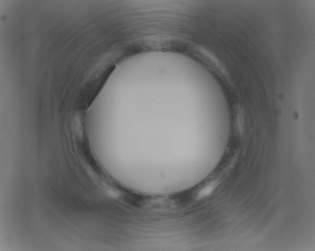 X0000078300121200612011844