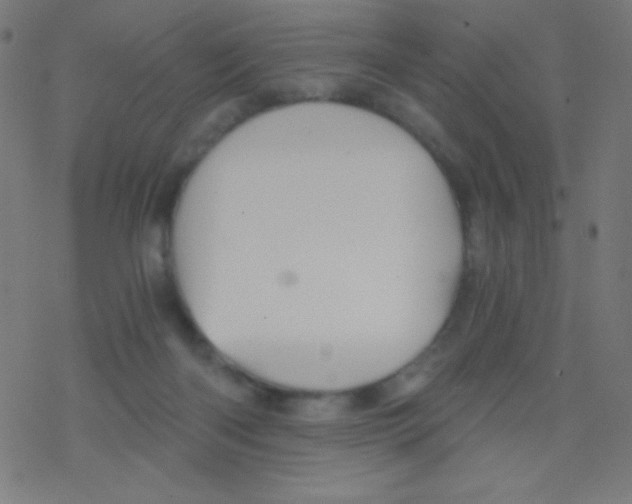 X0000078300122200612011844