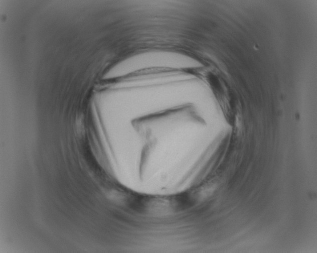 X0000078300123200612011844