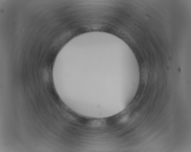 X0000078300126200612011844