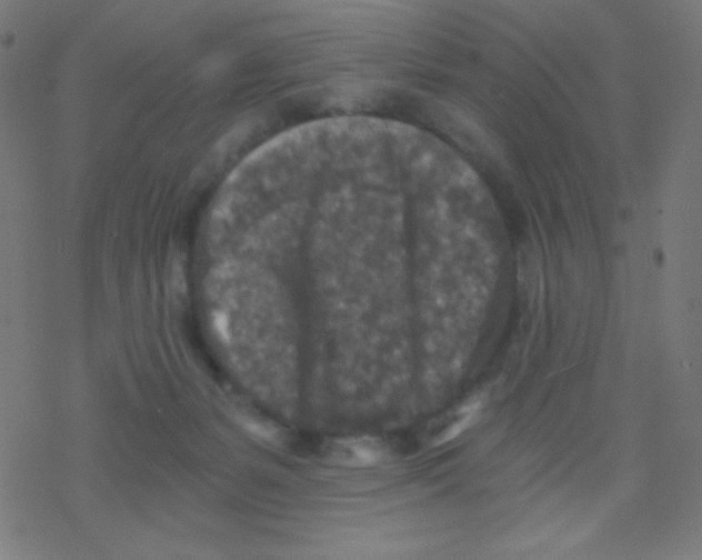 X0000078300127200612011844