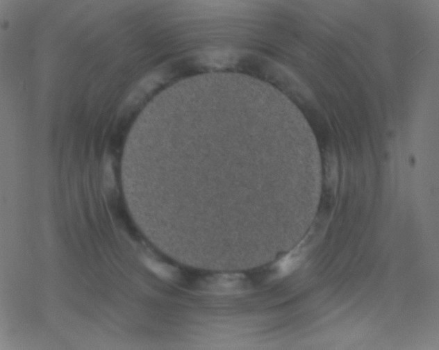 X0000078300128200612011844