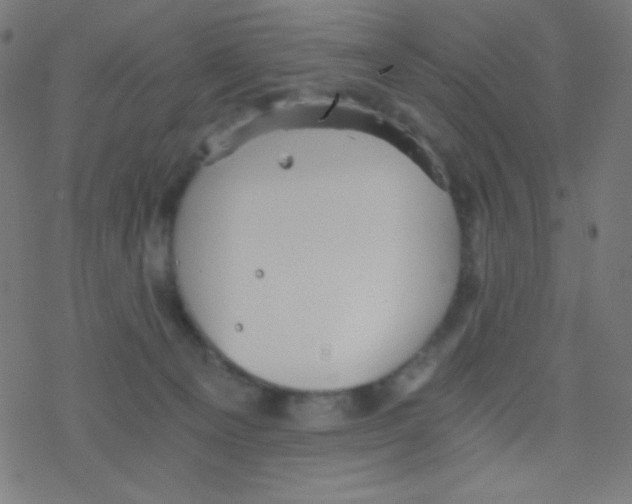 X0000078300129200612011844