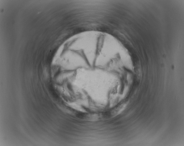 X0000078300131200612011844